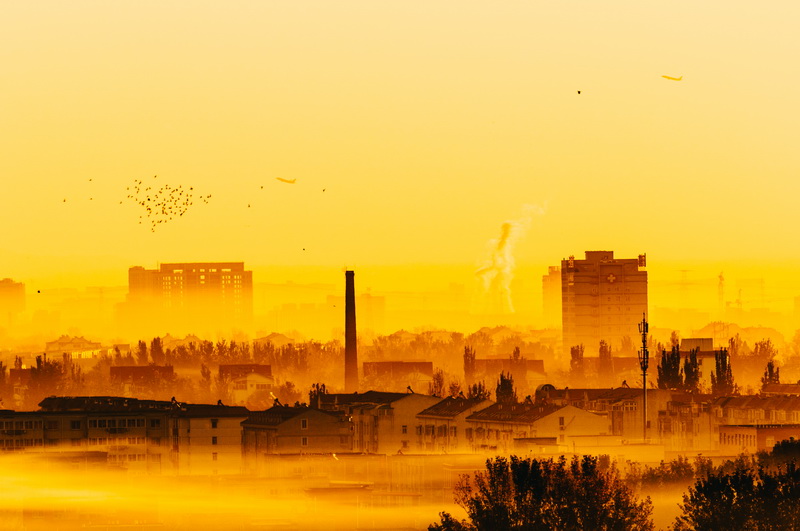 图5 800彩票-北京雾之朝-张尉.jpg