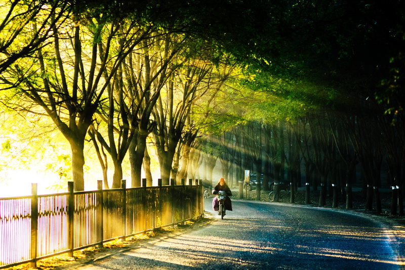 图7 800彩票-北京雾之路-张尉.jpg