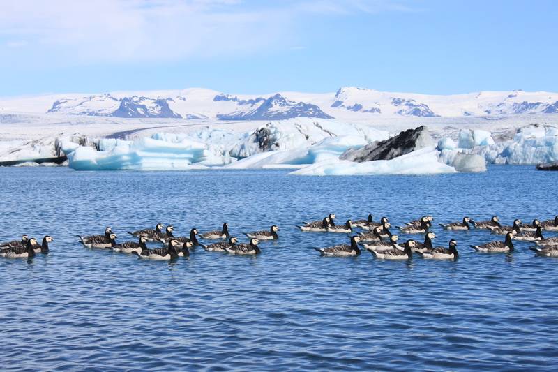 中科院地质与地球物理研究所 - 融化的冰川 - 李航 - 13146436686  _调整大小.JPG
