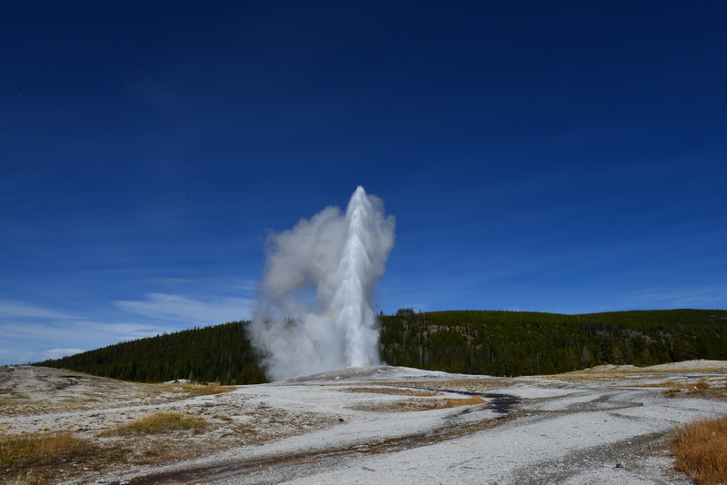 800彩票-Old faithful is still faithful-陈妍-15652790407_调整大小.jpg